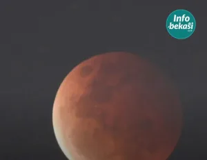 Gerhana Bulan Malam Ini, Fenomena Langka Jarang Terjadi ! 