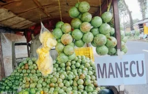 Manecu, Hanya Gen Milenial yang Tahu Buah Ini