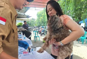 Jangan Sampai Hewan Kesayanganmu Kena Rabies, Posyanduan Bekatim Gelar Vaksinasi