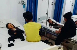 Ini Kronologi Adik Kakak Disengat Tawon Vespa di Kampung Piket, Sang Adik Meninggal