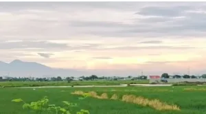 Jumat Pagi Udara Bekasi Adem dan Bebas Polusi, Ini Cara Jaga Udara Tetap Bersih