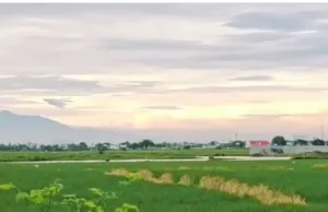 Jumat Pagi Udara Bekasi Adem dan Bebas Polusi, Ini Cara Jaga Udara Tetap Bersih