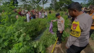 Warga Sukawangi Geger Penemuan Mayat Wanita di Saluran Irigasi, Ini Penjelasan Polisi