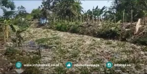 21 Ton Sampah Diangkut dari Kali Cikarang, Pemerintah Imbau Warga Jaga Kebersihan