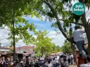 Demi Lihat Prabowo, Siswa di Bekasi Rela Panjat Pohon