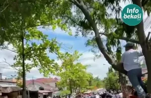 Demi Lihat Prabowo, Siswa di Bekasi Rela Panjat Pohon