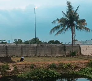 Kampung Wates: Jejak Dermaga Kapal dan Minyak Pertamina