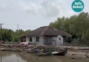 Dulu Pernah Dijuluki Kampung Dolar, Kini Pantai Beting Terjepit Abrasi
