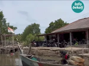 Menelusur Jejak Kampung Dolar di Pantai Beting Muara Gembong