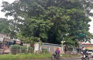 Nama Ujung Aspal Pondok Gede, Mengenang Masa Jalan Beraspal Habis di Sengon Jatirahayu
