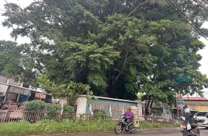 Nama Ujung Aspal Pondok Gede, Mengenang Masa Jalan Beraspal Habis di Sengon Jatirahayu