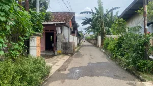 Budaya Leluhur Warga Kampung Cikiwul, Pantang Makan Lele hingga Tradisi Subuh Keliling