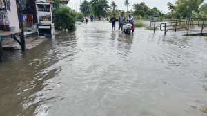 Ini 13 Kecamatan di Kabupaten Bekasi Terdampak Bencana Hidrometeorologi