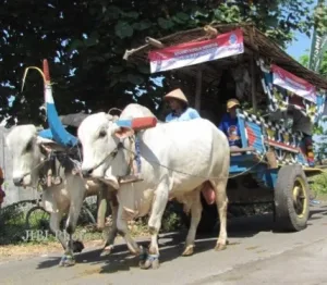 Dari Kusir Gerobak Jadi Makian, Ini Akar Mula Kata ‘Bajingan’ Berasal