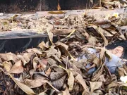 Warga Temukan Jasad Remaja di TPU Jakasampurna, Polisi Minta Bantuan Ungkap Identitas