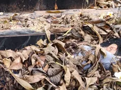 Warga Temukan Jasad Remaja di TPU Jakasampurna, Polisi Minta Bantuan Ungkap Identitas