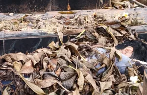 Warga Temukan Jasad Remaja di TPU Jakasampurna, Polisi Minta Bantuan Ungkap Identitas