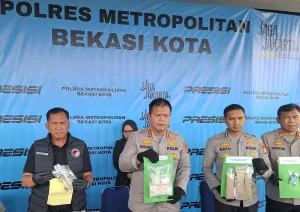 Polres Metro Bekasi Kota Bekuk 3 Pengedar Ganja dan Sabu Bersenpi, Satu Tersangka Buron