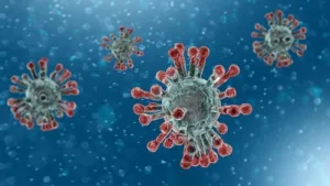 Kota Bekasi Aman dari Virus Nipah, Dinkes Pantau Ketat Fasilitas Kesehatan