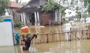 Hampir Sebulan, Banjir Masih Rendam Kampung Penombo Muaragembong