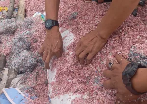 Benang Merah Temuan Uang di Setu, Polisi Telusuri Identitas Pria Berinisial F