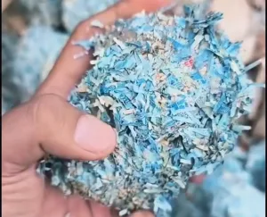 Ini Penampakan Cacahan Uang Rp50 Ribu hingga Rp100 Ribu di Setu