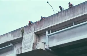 Demi Seekor Kucing, Damkar Berjibaku di Ketinggian Jalan Tol Becakayu