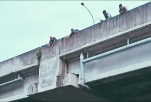 Demi Seekor Kucing, Damkar Berjibaku di Ketinggian Jalan Tol Becakayu