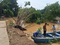 Imbas Pengosongan Aliran Kali Bekasi, Kawasan Wisata Hutan Bambu Longsor