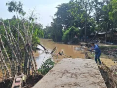 Disparbud Kota Bekasi Tutup Sementara Wisata Hutan Bambu Pascabencana Longsor