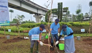 Jalan Tol Trans Jawa Dihijaukan, Jasamarga Tanam 500 Pohon Tanaman Teduh