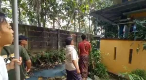 Warga Tarumajaya Was-Was Kasus Monyet Liar Serang Bocah Luka 26 Jahitan