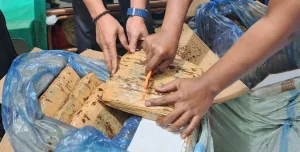 Ganja 30 Kg di Kontrakan Bintara, Pelaku Taburi Serbuk Kopi Agar Tak Terendus Warga