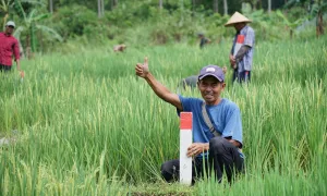 Mudik Lebaran, Jangan Lupa Periksa Batas Tanah