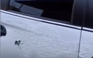 Dari Mobil Fortuner ke Manusia, Teror Air Keras di Perum Bumi Sani Sudah 3 Kali Terjadi