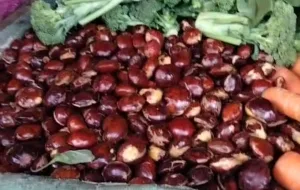 Jenuh Dengan Lauk Daging Emak-Emak Berburu Jengkol, Inget Perhatikan Risiko Kejengkolan