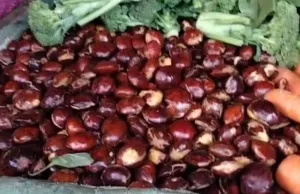 Jenuh Dengan Lauk Daging Emak-Emak Berburu Jengkol, Inget Perhatikan Risiko Kejengkolan