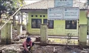 Cari Perhatian KDM, Konten Kreator Tanam Padi di Depan KUA Tarumajaya 