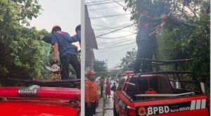Angin Kencang Terjang Rawalumbu dan Jatiasih, Pohon Tumbang hingga Atap Rumah Terbang