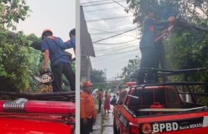 Angin Kencang Terjang Rawalumbu dan Jatiasih, Pohon Tumbang hingga Atap Rumah Terbang