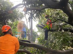 9 Titik Alami Kerusakan Akibat Angin Kencang, Kondisi di Bekasi Sudah Membaik