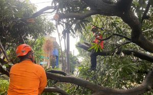 9 Titik Alami Kerusakan Akibat Angin Kencang, Kondisi di Bekasi Sudah Membaik