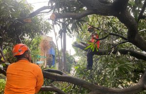 9 Titik Alami Kerusakan Akibat Angin Kencang, Kondisi di Bekasi Sudah Membaik