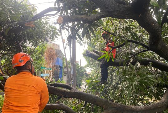 9 Titik Alami Kerusakan Akibat Angin Kencang, Kondisi di Bekasi Sudah Membaik