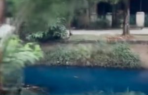 DLH Kota Bekasi Ungkap Penyebab Air Kali Rawalumbu Berubah Jadi Biru