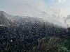 Lahan Limbah Seluas 500 Meter Persegi di Tambun Utara Ludes Terbakar, Ini Penyebabnya