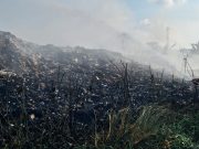 Lahan Limbah Seluas 500 Meter Persegi di Tambun Utara Ludes Terbakar, Ini Penyebabnya