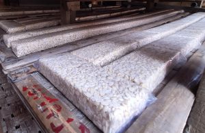 Harga Kedelai di Bekasi Meroket Capai Rp15.000, Ini Penyebabnya