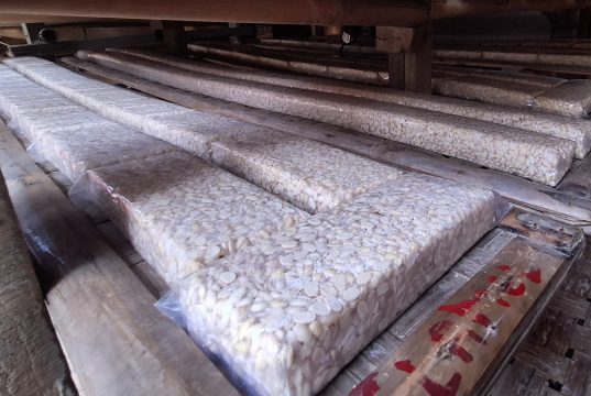 Impor Terdampak Pasar Global, Disdagperin Bekasi Genjot Pemanfaatan Kedelai Lokal