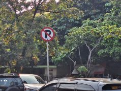 Jangan Salah Arti, Ini Makna Sebenarnya Rambu Dilarang Parkir